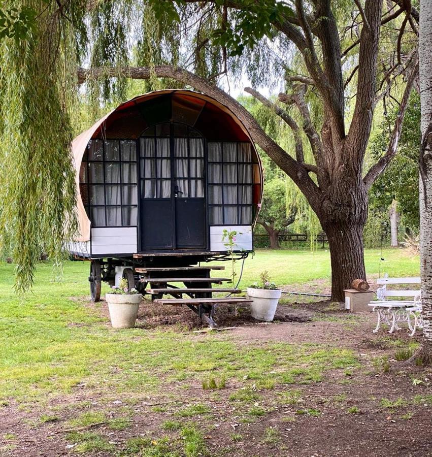 Don Aniceto Lodges & Glamping Lujan  Bagian luar foto